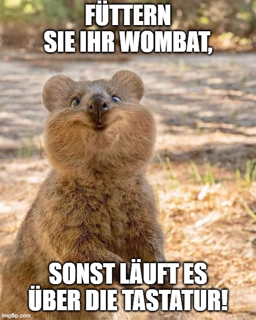 Das Wombat muss gefüttert werden, sonst läuft es über die Tastatur.